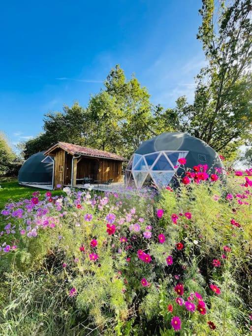 Dome Insolite Lichen Jacuzzi Et Petits-Dejeuners Inclus Gondrin Kültér fotó