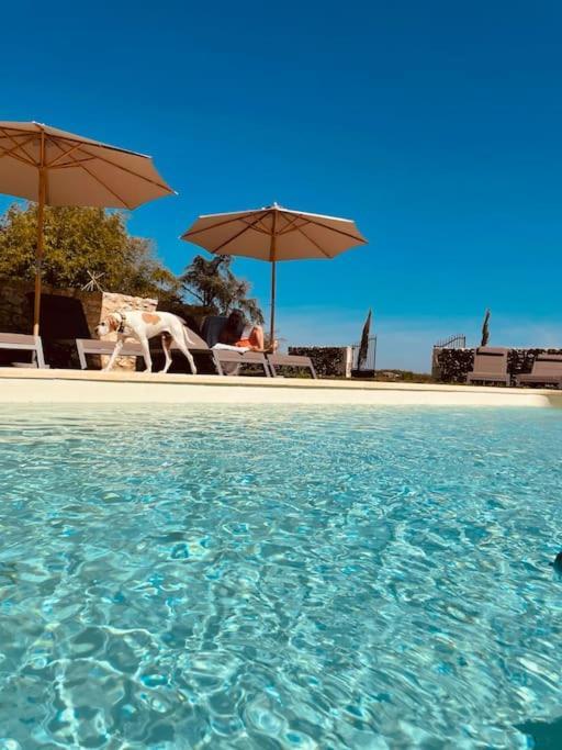 Dome Insolite Lichen Jacuzzi Et Petits-Dejeuners Inclus Gondrin Kültér fotó